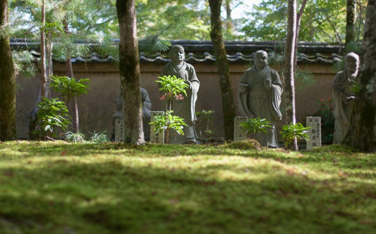 Mossy overgrowth at Gio-ji